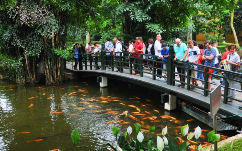 mơ thấy ao cá là điềm gì