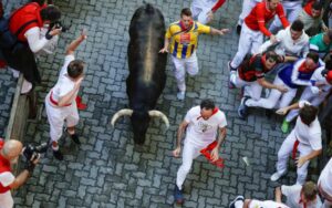 nằm mơ thấy bò rượt đuổi là điềm gì