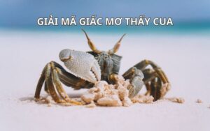 mơ thấy cua đánh số gì